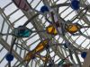Double Helix